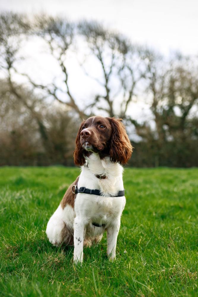 main Celyn Bowen Qvijdvhzecc Unsplash
